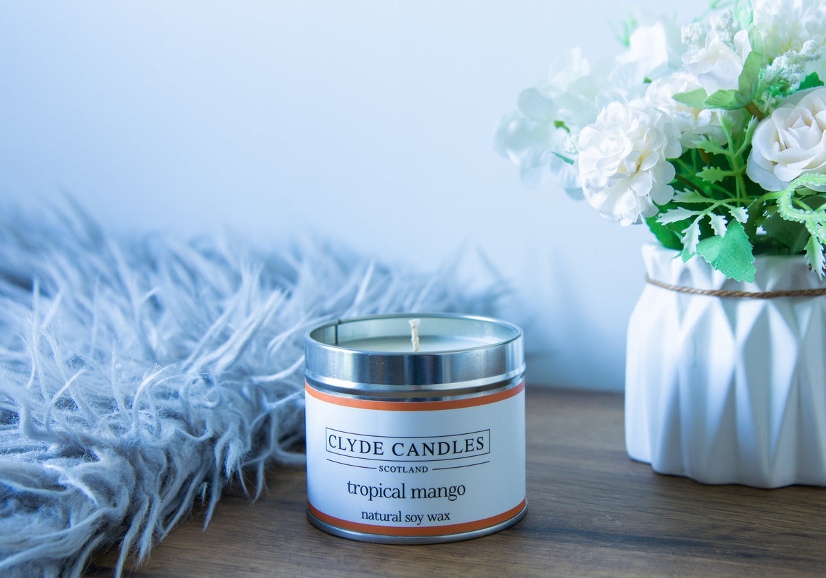 Tropical Mango Candle Tin Pack of 6 clyde candles trade